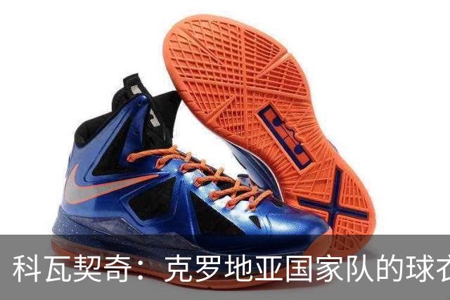 科瓦契奇：克罗地亚国家队的球衣，对我们而言是神圣的